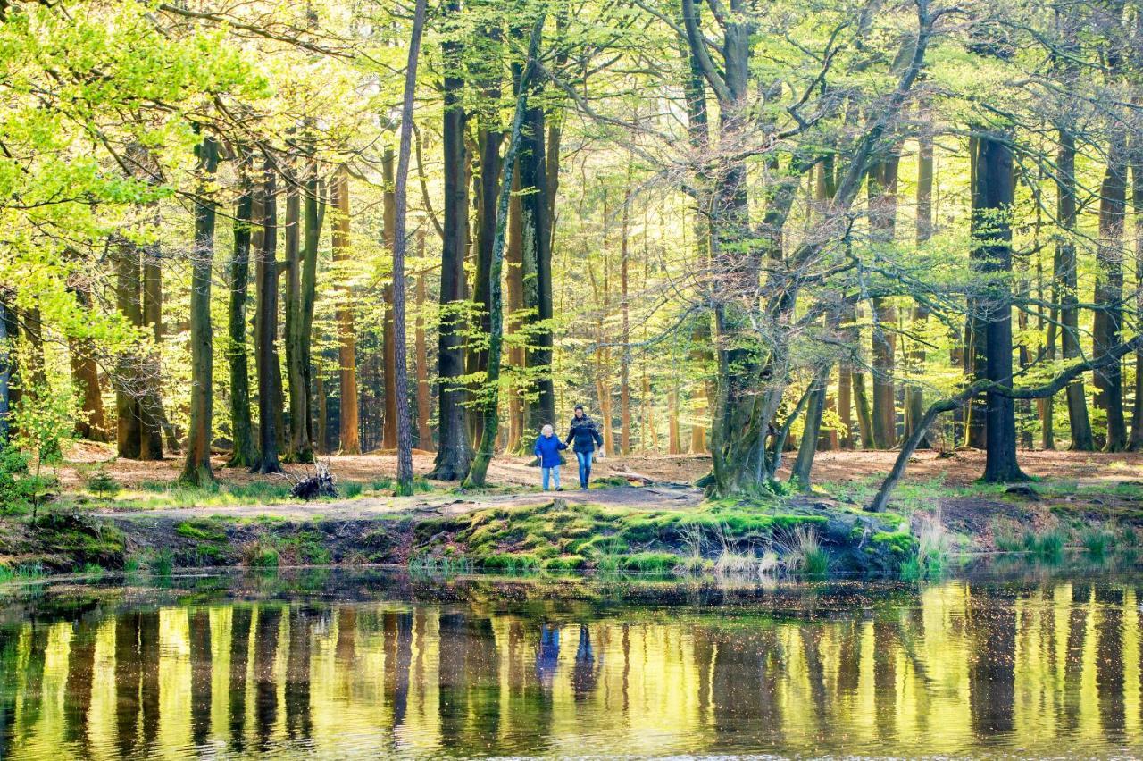 Koetshuis Landgoed Lauswolt Villa Beetsterzwaag Dış mekan fotoğraf